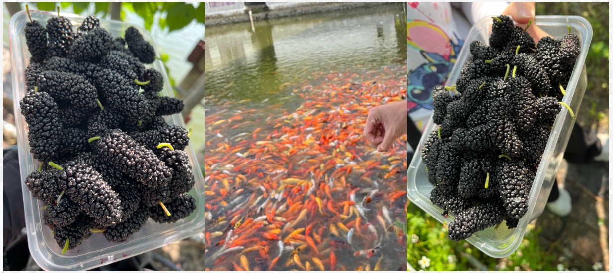 微信截圖_20240428142644 微信截圖_20240428142644